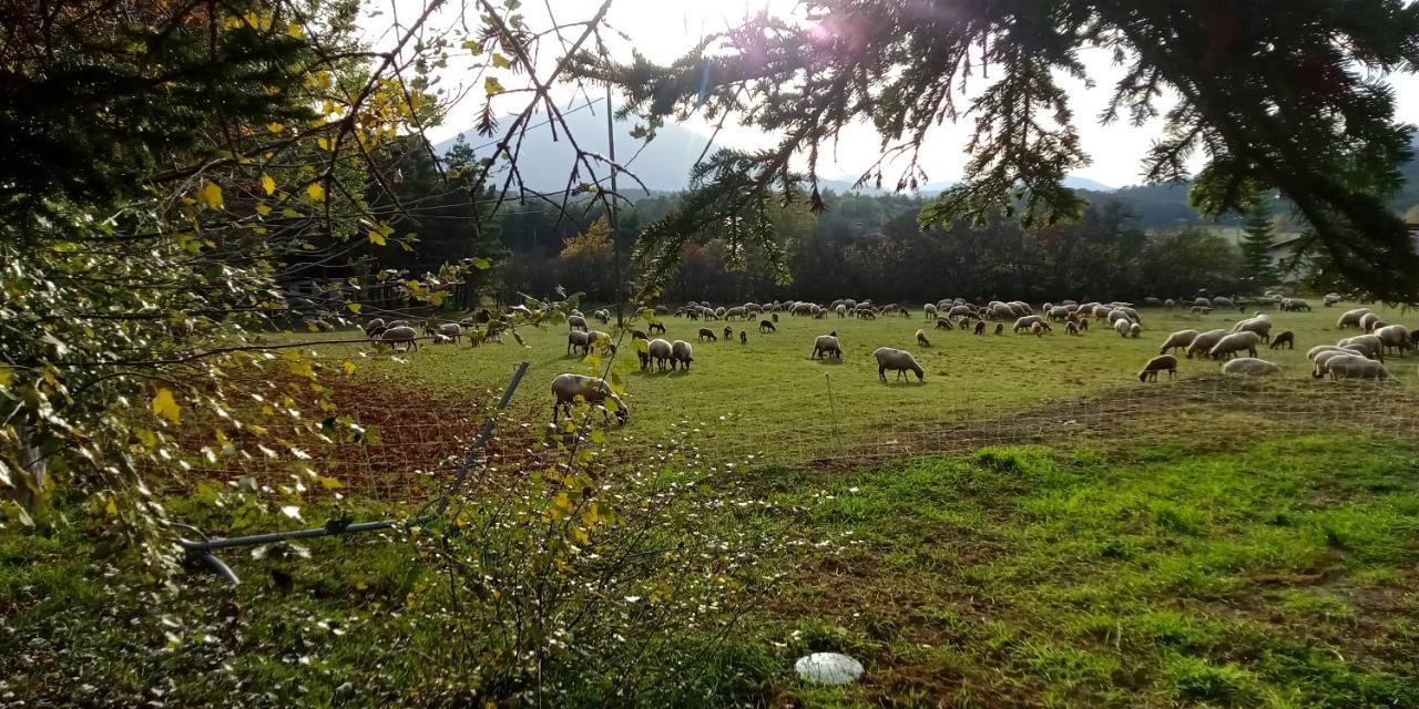 Montagne, mer et Verdon Séranon Buitenkant foto