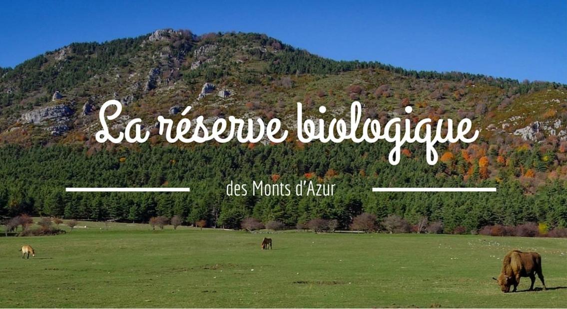 Montagne, mer et Verdon Séranon Buitenkant foto
